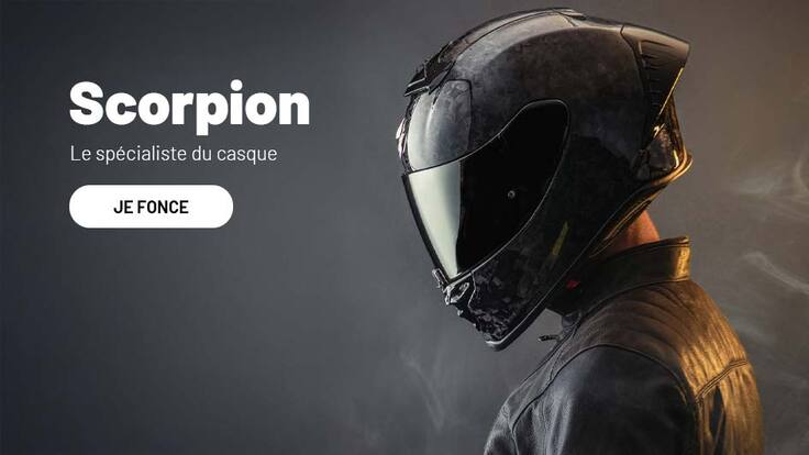 Scorpion Scorpion