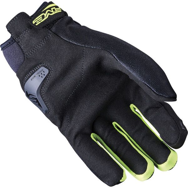 Gants Globe Evo