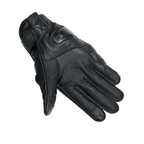 Gants Chicago