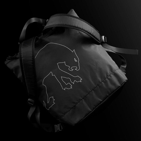Case Bag