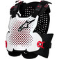-alpinestars-pare-pierres-a-4-plasma--1.jpg