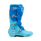 Bottes Motion