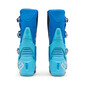 Bottes Motion