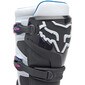 Bottes Motion