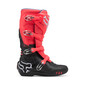 Bottes Motion