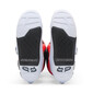 Bottes Motion