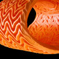 Dorsale Full Back Fury D3O® Evo