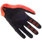 Gants Airline