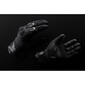 Gants femme Newton Lady All Seasons