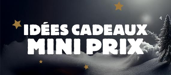 idées cadeaux mini prix